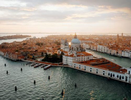 Venice Film Festival 2026: Flying Directly to the Lido
